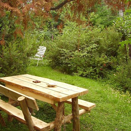 Hosteria Brisas Del Cerro Вілья-Ла-Ангостура Екстер'єр фото